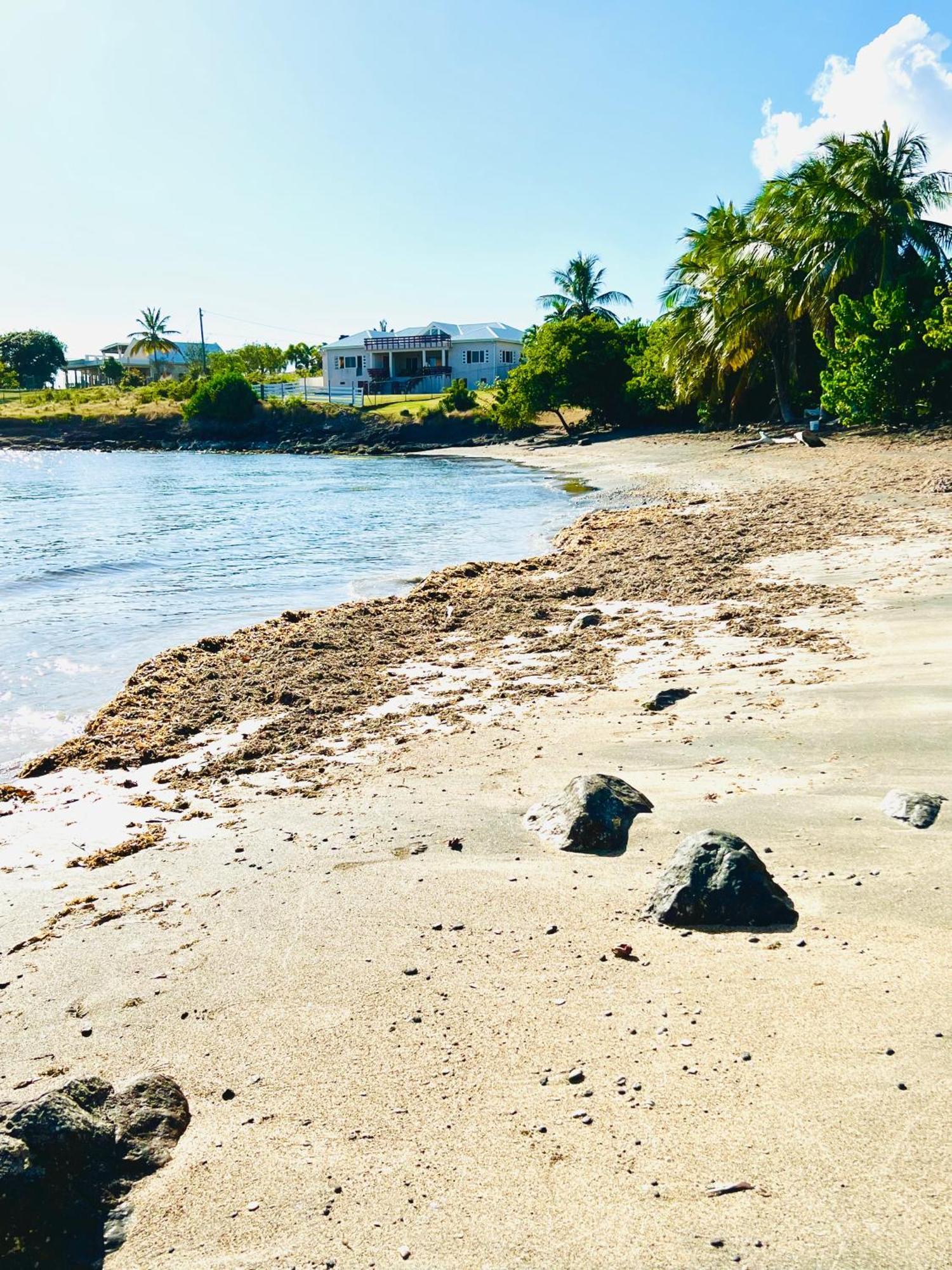 Sealavie Apartments - Grenada St. George's Экстерьер фото